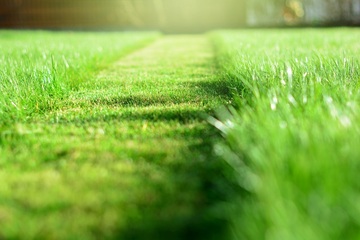 Les tarifs d’un jardinier pour tondre la pelouse