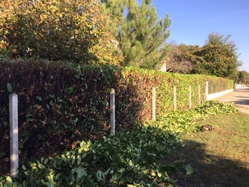 rénover un jardin